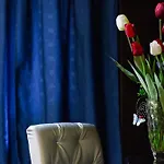 Tulipa Bragança