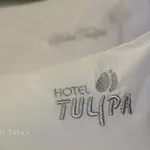 Tulipa