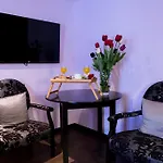 Tulipa 2*