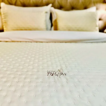 Hotel Tulipa Bragance