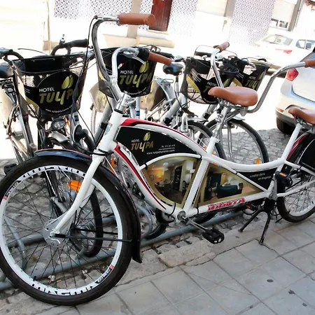 トゥリパ ブラガンサ