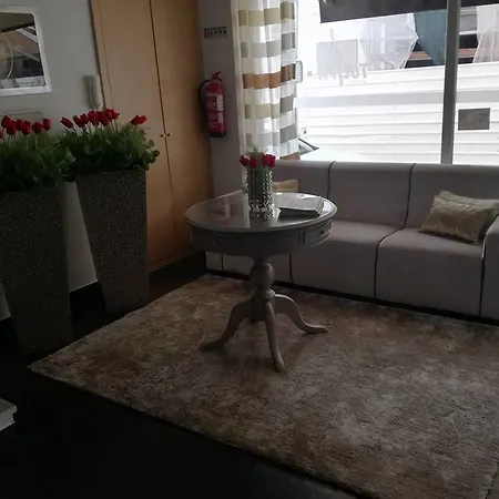Tulipa 2*