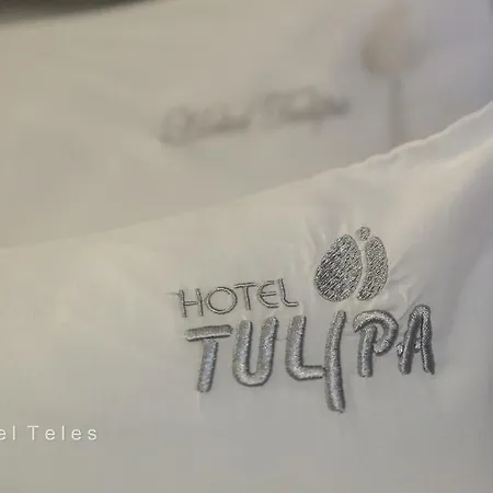 Tulipa