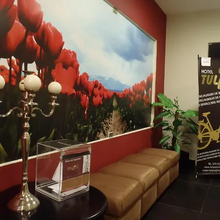 トゥリパ ブラガンサ