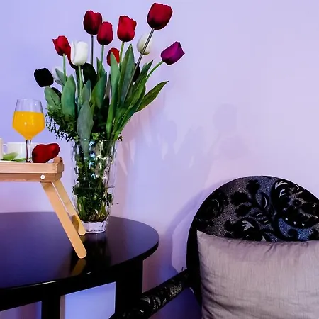 Tulipa Hotel Bragance