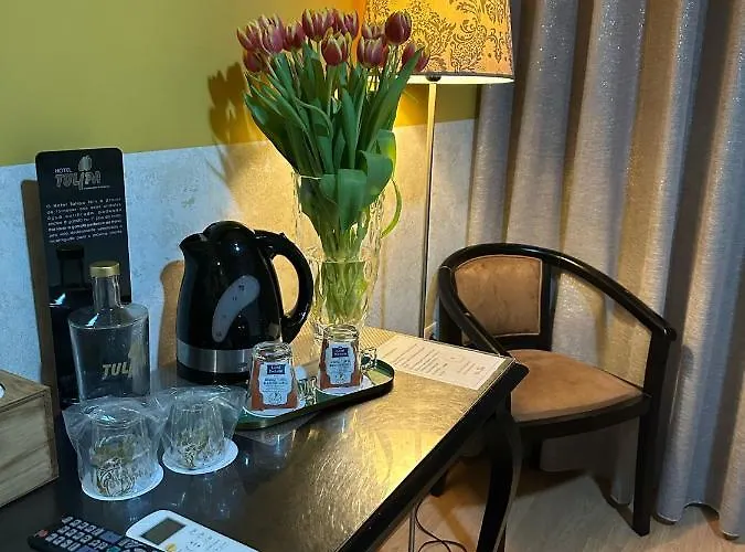 호텔 Tulipa 2*