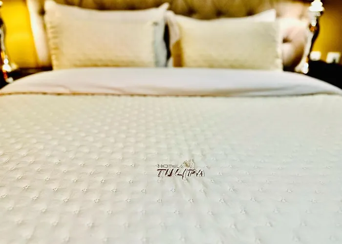 Hotel Tulipa Bragance