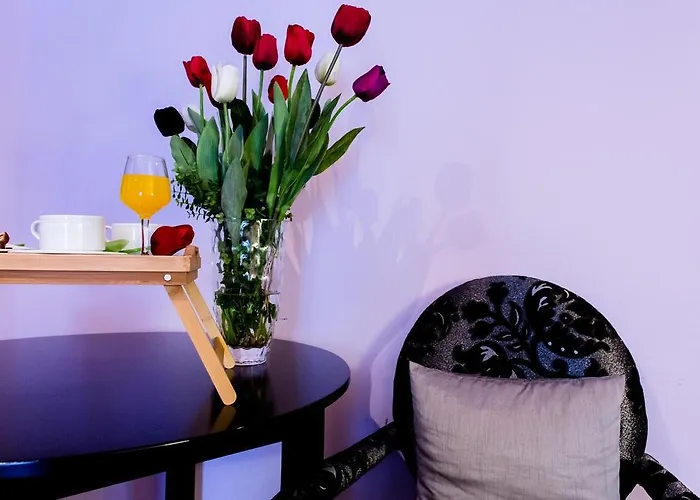 Tulipa 호텔 바라간카